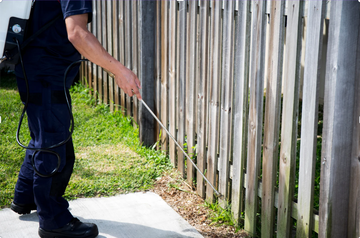 Pest control technician treating a home in the Raleigh Triangle